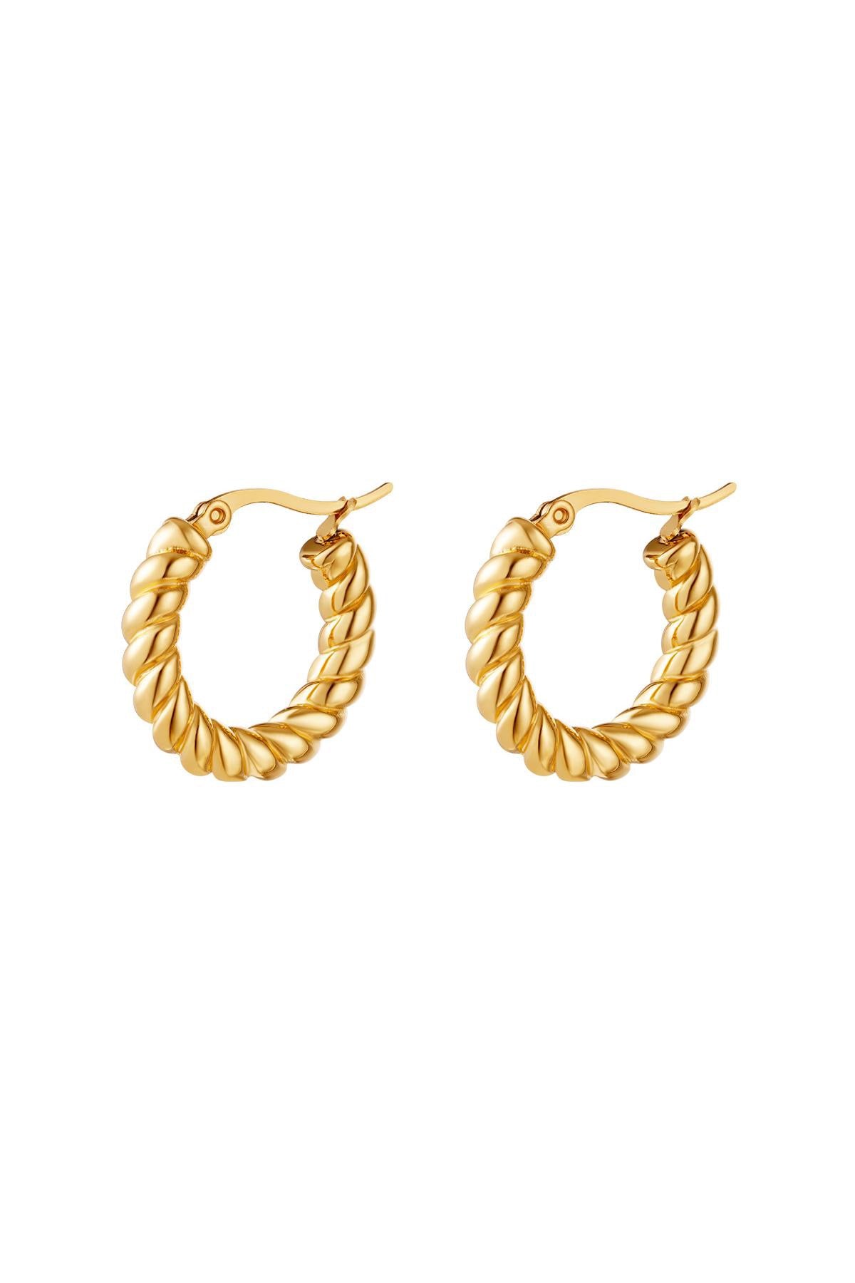 Stijlvolle gedraaide gouden oorbellen van Louxx the brand, perfect voor elke gelegenheid. Oorbellen | Gedraaid.