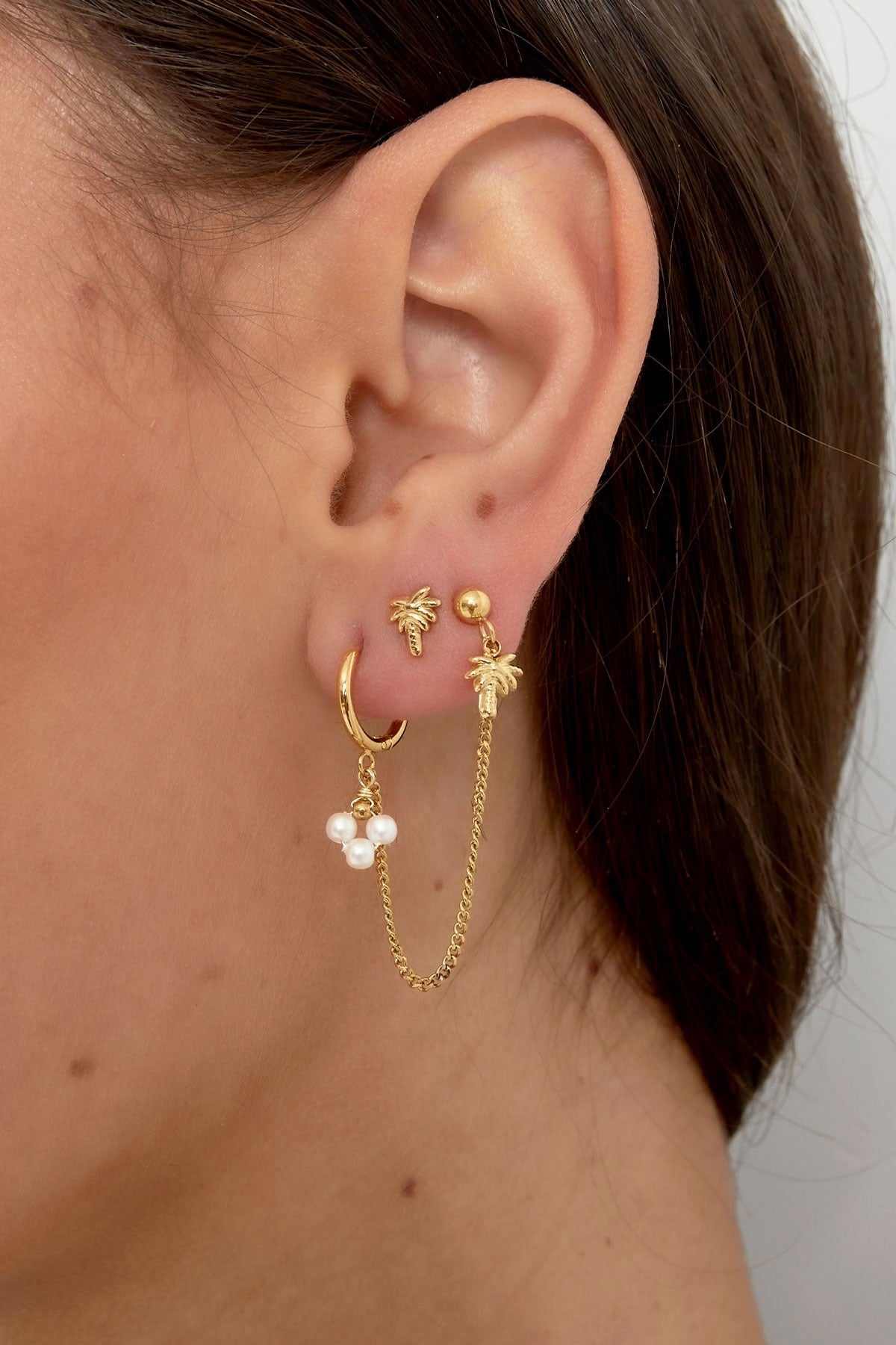 Oorbellen | Palmboom - Louxx the brand