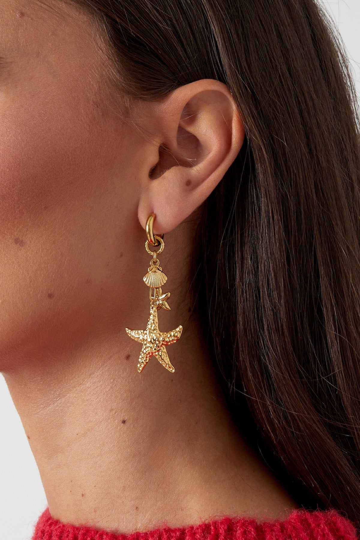 Oorbellen | Zeester - Louxx the brand