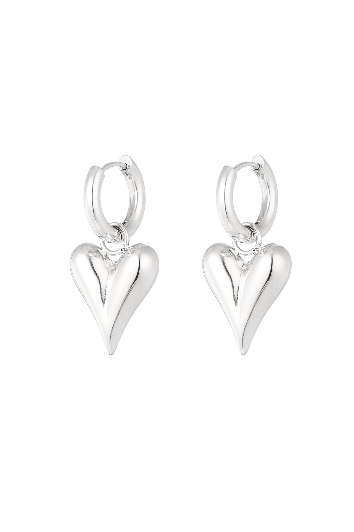 Oorbellen | Hart hanger