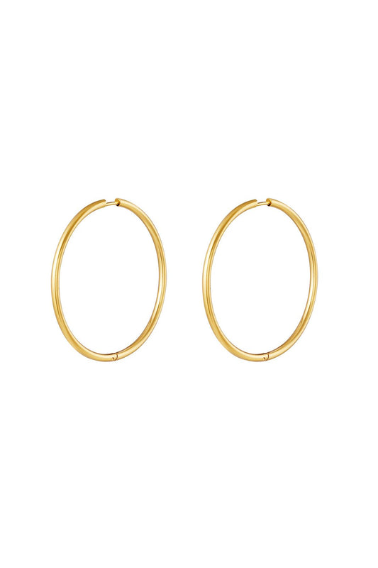RVS oorbellen hoops medium Goud kleur Stainless Steel