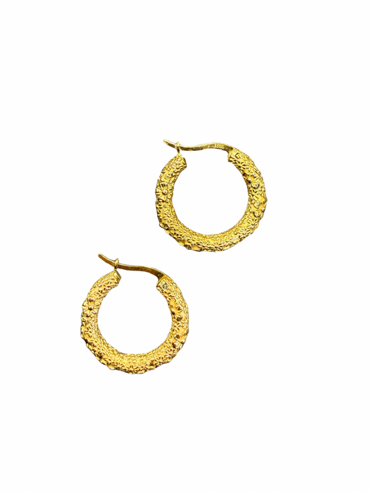 Oorbellen | Hoops