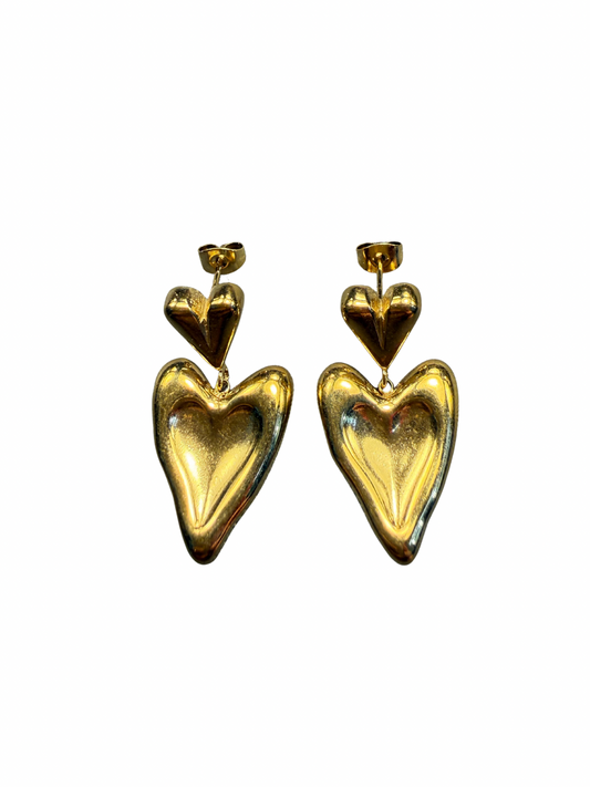 Oorbellen | 2 Hartjes