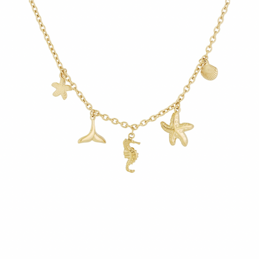 Ketting | Bedel Island