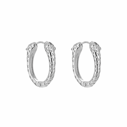 Oorbellen | Slang