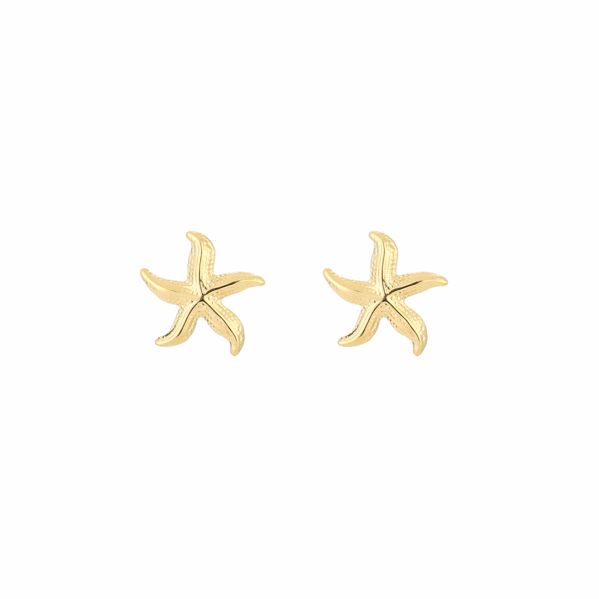 Oorbellen | Zeester - Louxx the brand