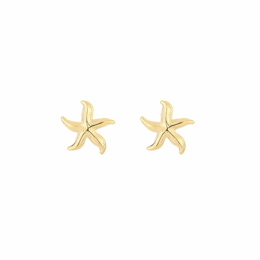 Oorbellen | Zeester - Louxx the brand