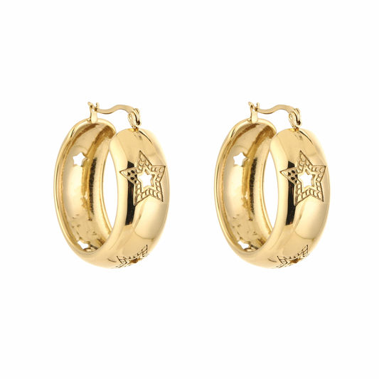 Oorbellen | Ster Hoops